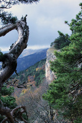 Similar image 22087830