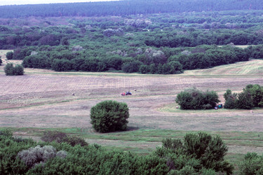 Similar image 22087840