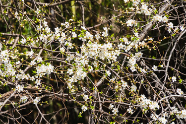 Similar image 22091530