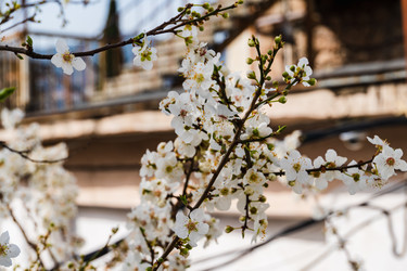 Similar image 22091532