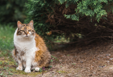 Similar image 22088587