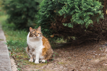 Similar image 22088589