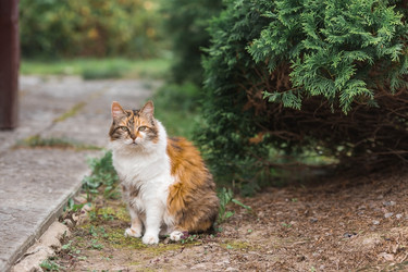 Similar image 22088590