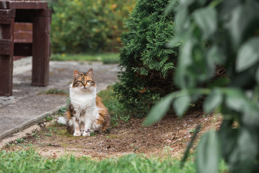 Similar image 22088591