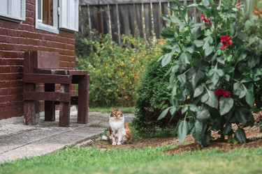 Similar image 22088592