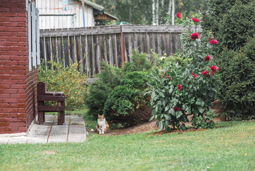 Similar image 22088593