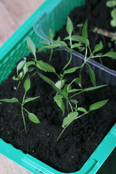 Similar image 22087851