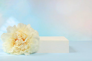 Similar image 22087726