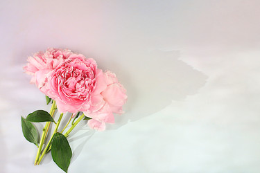 Similar image 22087730