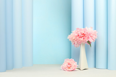 Similar image 22087732