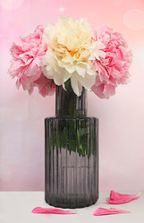 Similar image 22087733