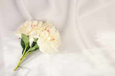 Similar image 22087736