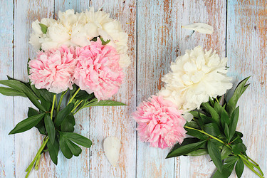 Similar image 22087739