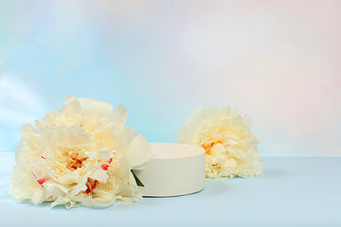 Similar image 22087740