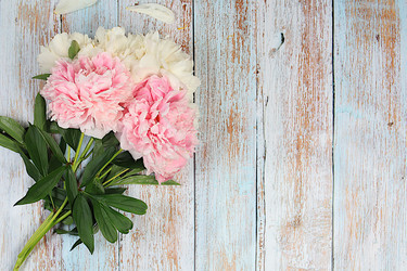 Similar image 22087741