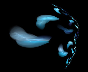 Similar image 22089384