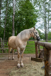 Similar image 22087922