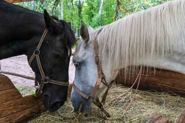 Similar image 22087923