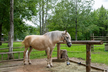 Similar image 22087924