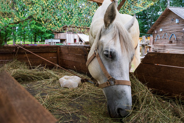 Similar image 22087926