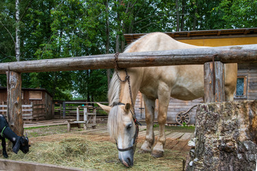 Similar image 22087927