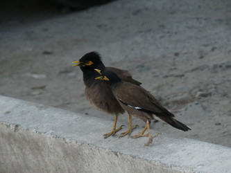 Similar image 22089166