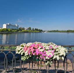 Similar image 22088171