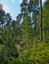 Similar image 22087955