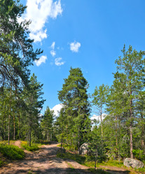 Similar image 22087975