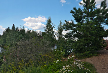 Similar image 22087989