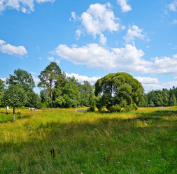 Similar image 22088124