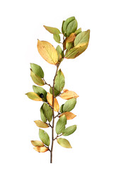 Similar image 22088129