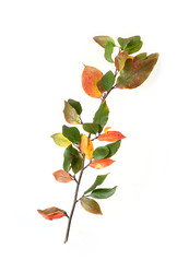 Similar image 22088131