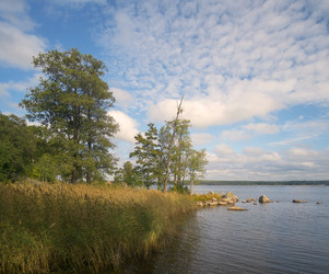 Similar image 22088132