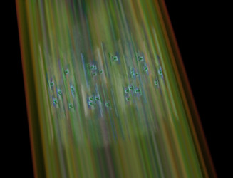 Similar image 22091588