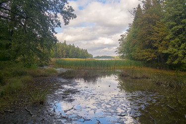 Similar image 22088612