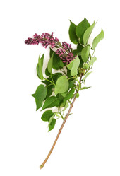 Similar image 22088645