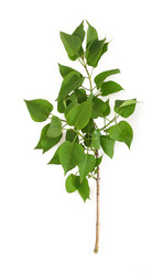 Similar image 22088655