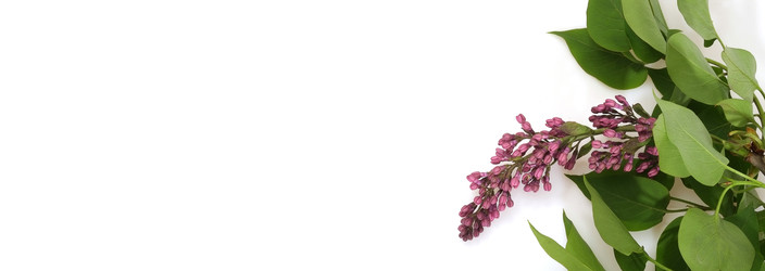 Similar image 22088657