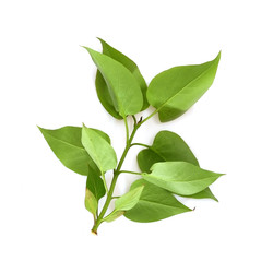 Similar image 22088663