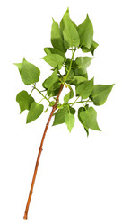 Similar image 22088665