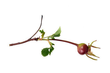 Similar image 22088668