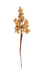 Similar image 22088672