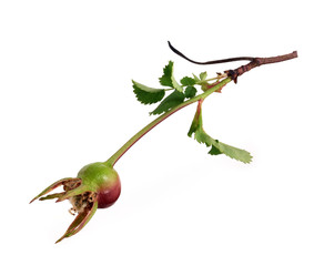 Similar image 22088676