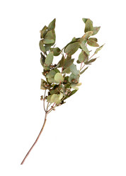 Similar image 22088678