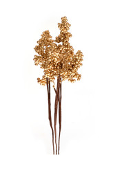 Similar image 22088682