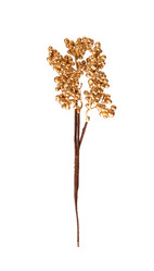 Similar image 22088686