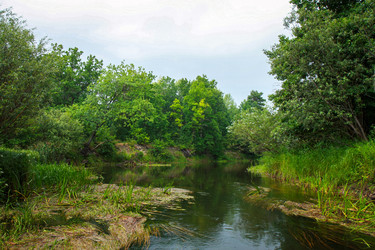 Similar image 22091603