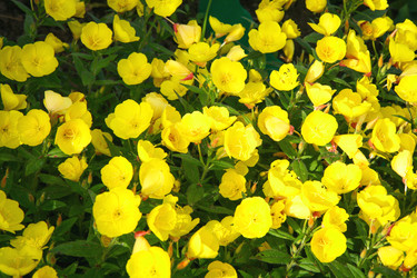 Similar image 22091605