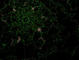 Similar image 22091930